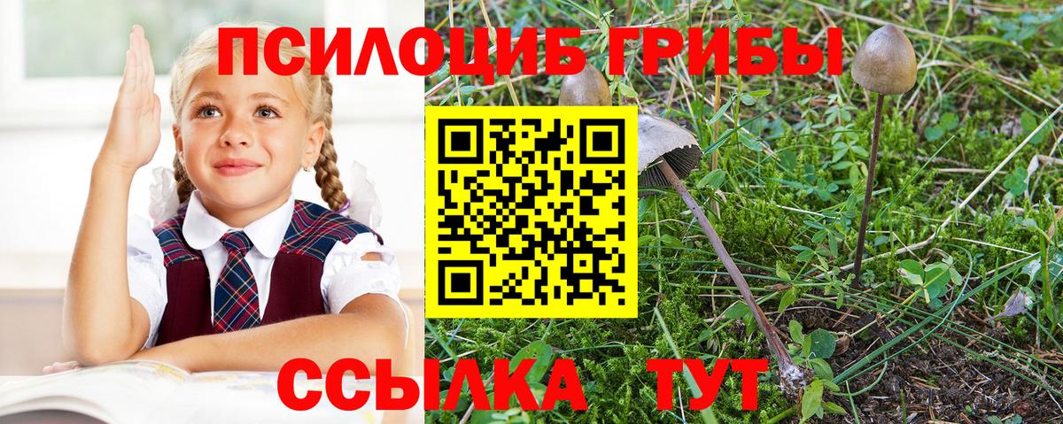 Ногинск  Галлюциногенные грибы Psilocybe  Вход с VPN 