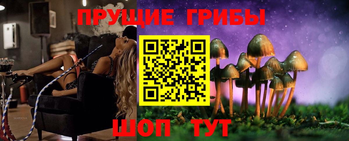 Псилоцибиновые грибы Psilocybine cubensis Ногинск
